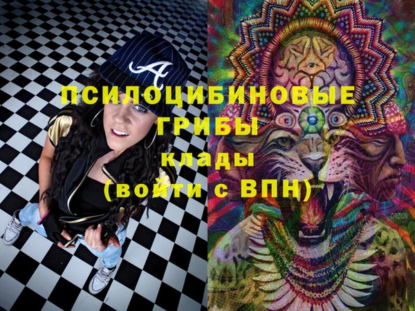 винт Новокубанск
