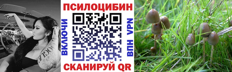 Галлюциногенные грибы GOLDEN TEACHER  даркнет сайт  Чекалин 